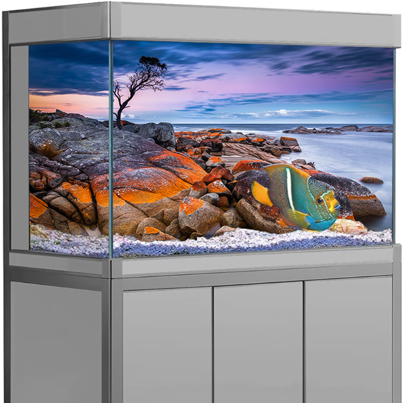 حوض السمك خلفية ملصق حجر عرض ا - مراجعة Aquarium Fish Poster وسعره