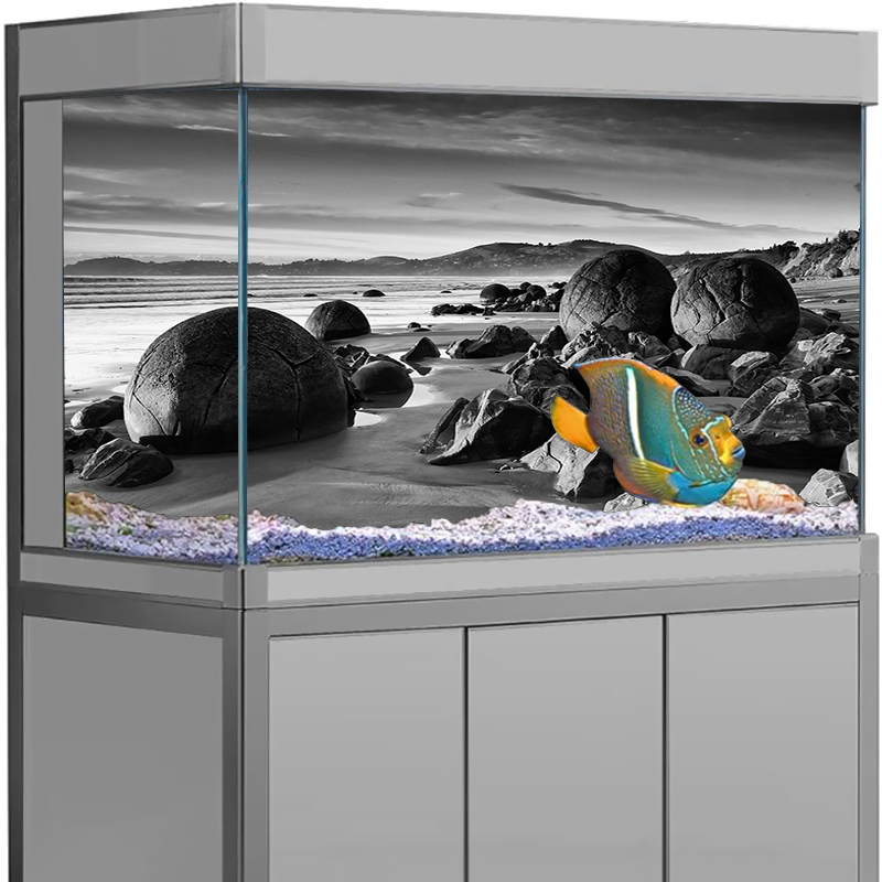 حوض السمك خلفية ملصق حجر عرض ا - مراجعة Aquarium Fish Poster وسعره