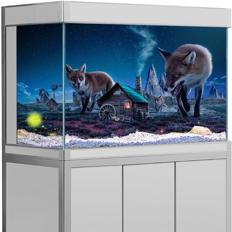 ملصق خلفية لحوض السمك بتصميم ا - مراجعة Aquarium Fish Poster وسعره