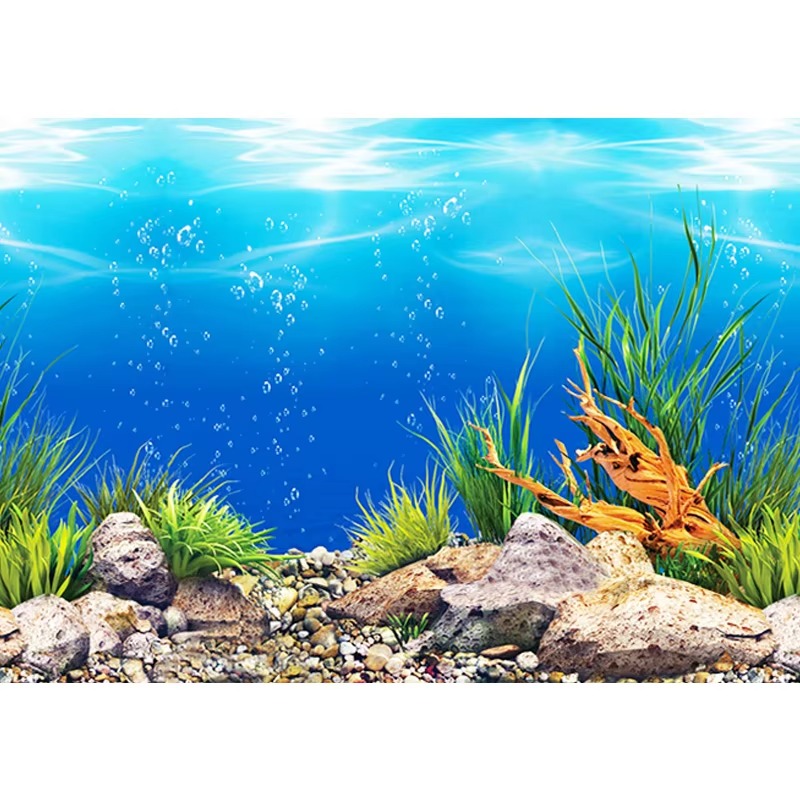 مرجان صناعي لحوض السمك 50 سم،  - مراجعة Aquarium Fish Wallpaper وسعره