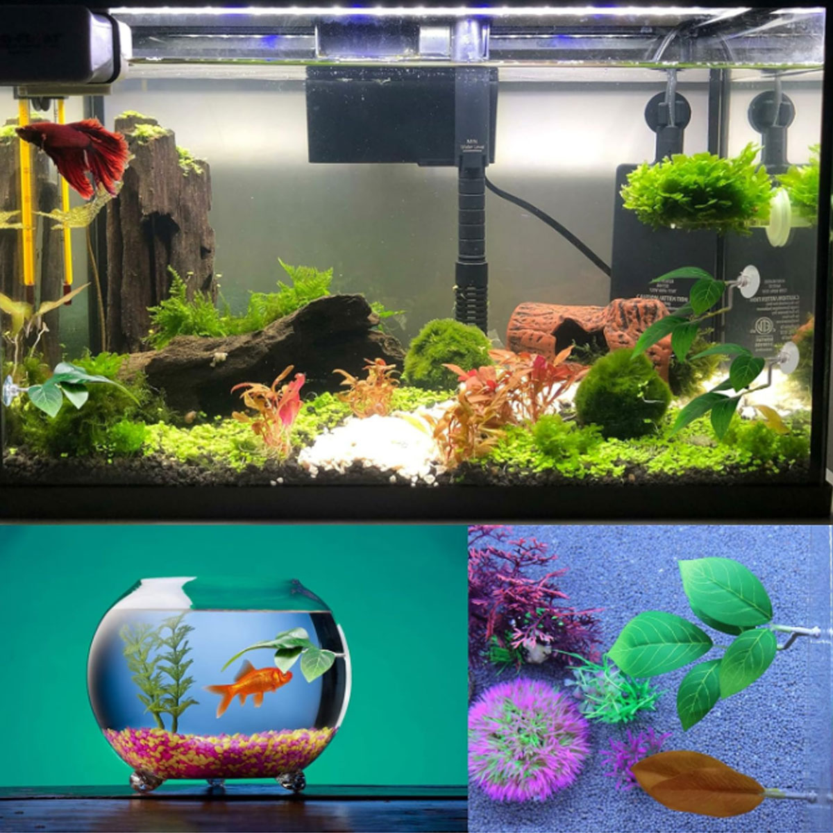 1 قطعة أرجوحة سمك البيتا، ديكو - مراجعة Aquarium Fish Only وسعره