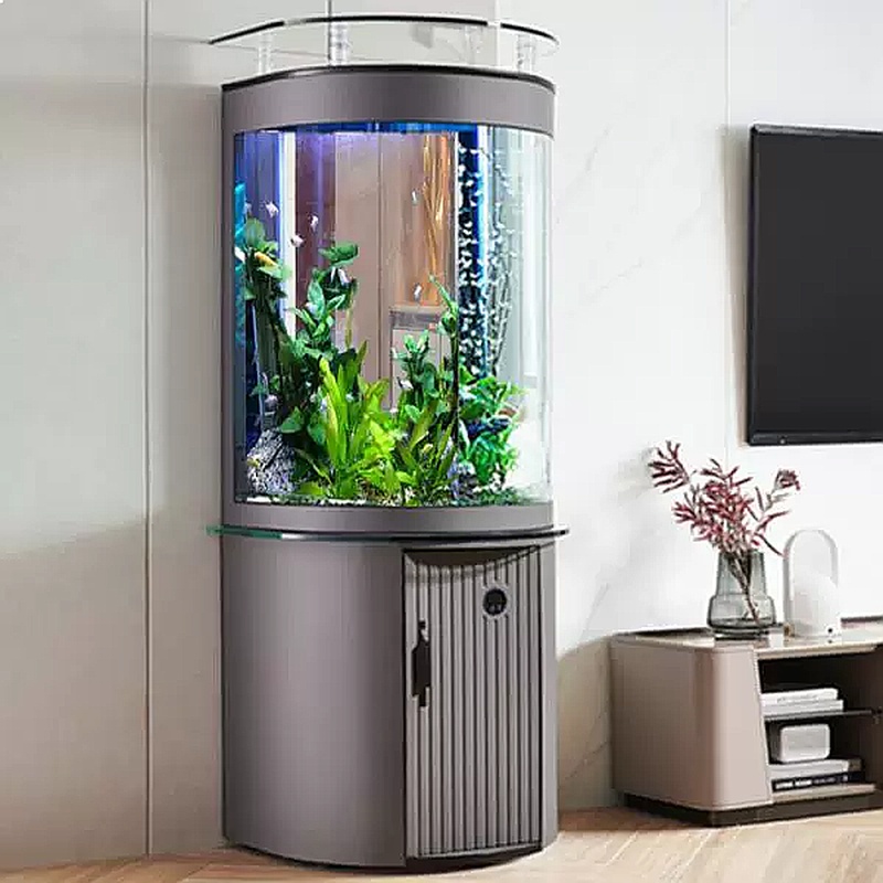 حوض سمك زجاجي نصف دائري بفلتر  - مراجعة Aquarium Fish Low Maintenance وسعره