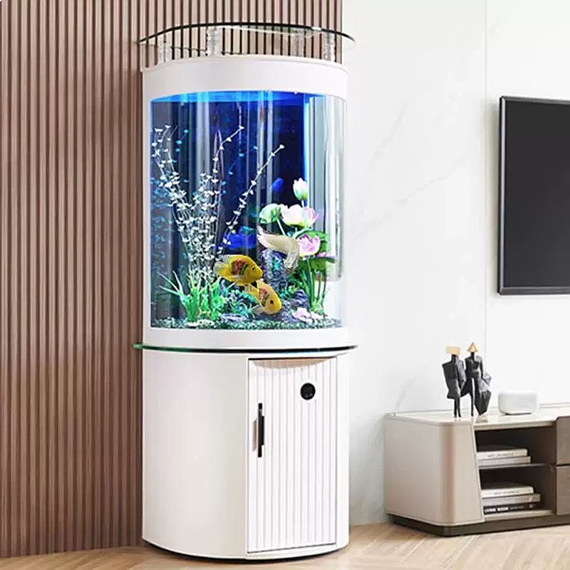 حوض سمك زجاجي نصف دائري بفلتر  - مراجعة Aquarium Fish Low Maintenance وسعره