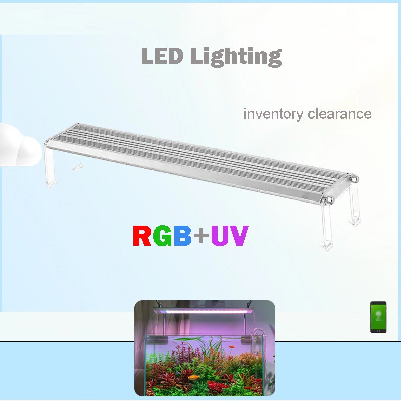 Led الإضاءة 60 سنتيمتر 80 سنتي - مراجعة Aquarium Fish For Sale وسعره
