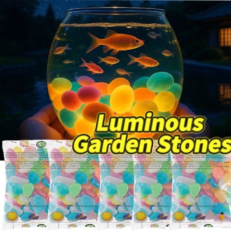 100-1000 قطعة صخرة مضيئة، حصى  - مراجعة Aquarium Fish Store وسعره