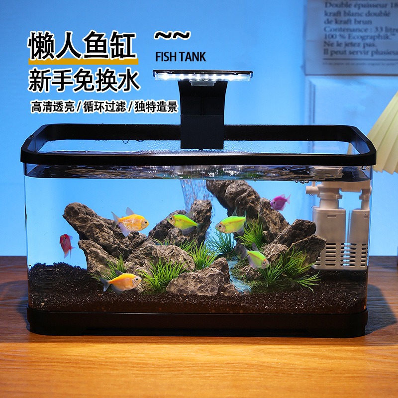 حوض أسماك مكتبي مع فلتر دوران، - مراجعة Fish Tank Filter Aquarium وسعره