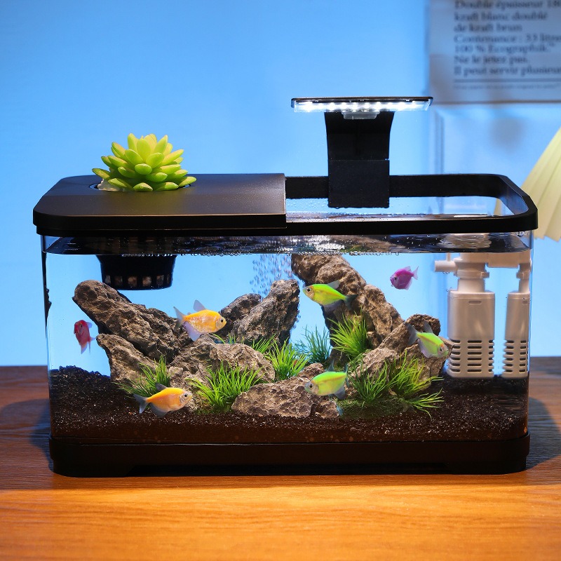 حوض أسماك مكتبي مع فلتر دوران، - مراجعة Fish Tank Filter Aquarium وسعره