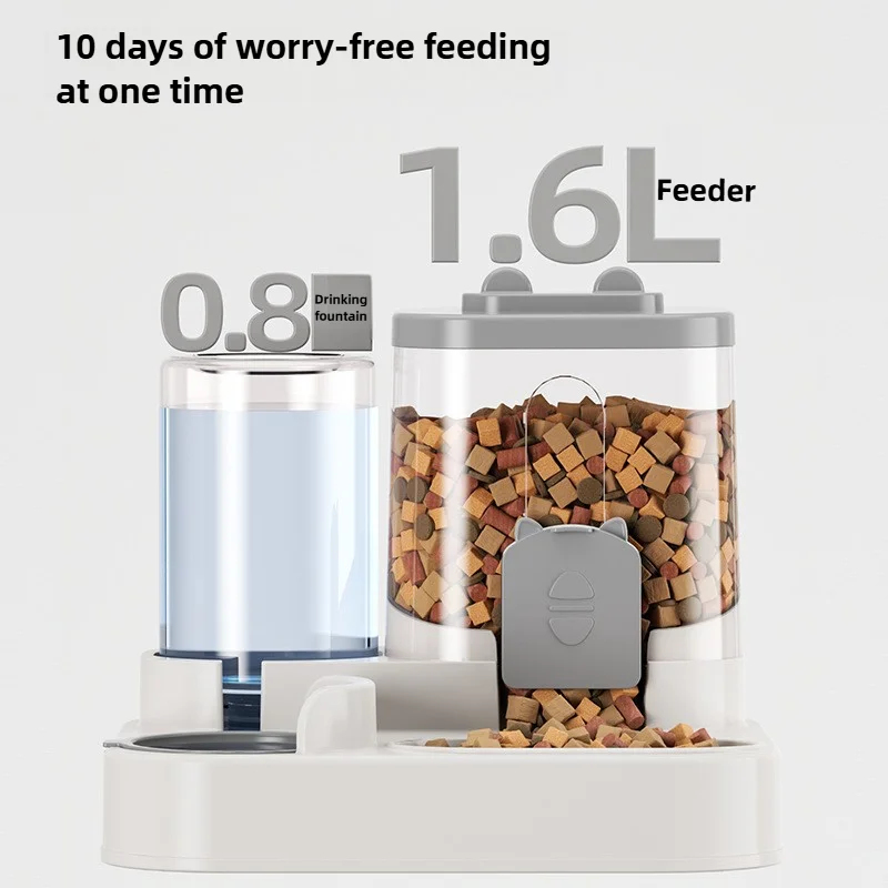 وعاء طعام أوتوماتيكي للقطط من  - مراجعة Royal Canin Food Medium وسعره