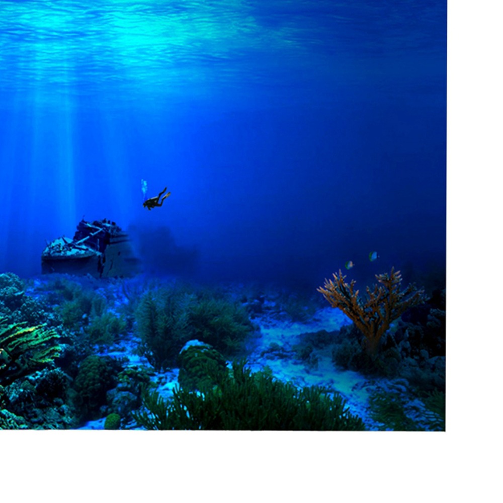 بولي كلوريد الفينيل حوض السمك  - مراجعة Aquarium Fish Poster وسعره