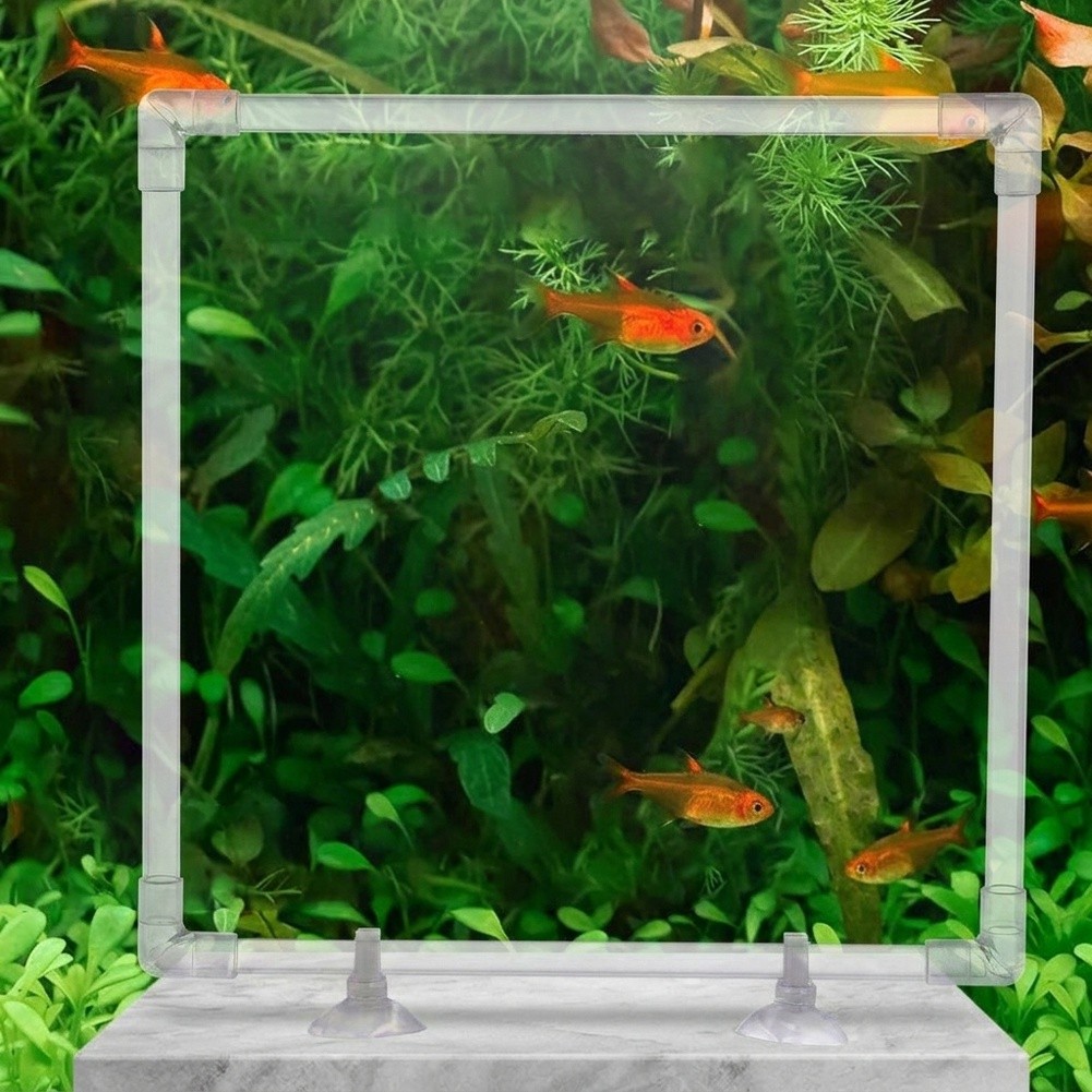 حوض عائم للنباتات في أحواض الس - مراجعة Aquarium Fish Zone وسعره