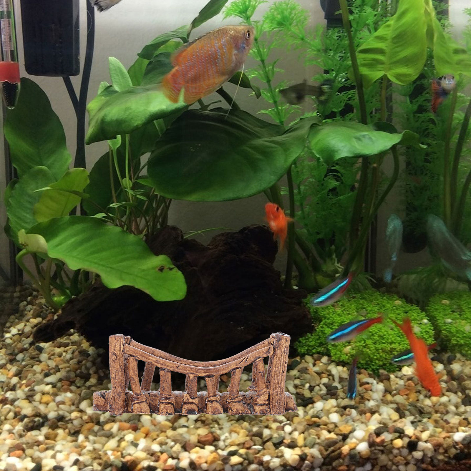 قطعتان من الجسر الزخرفي السيرا - مراجعة Aquarium Fish Bridge وسعره