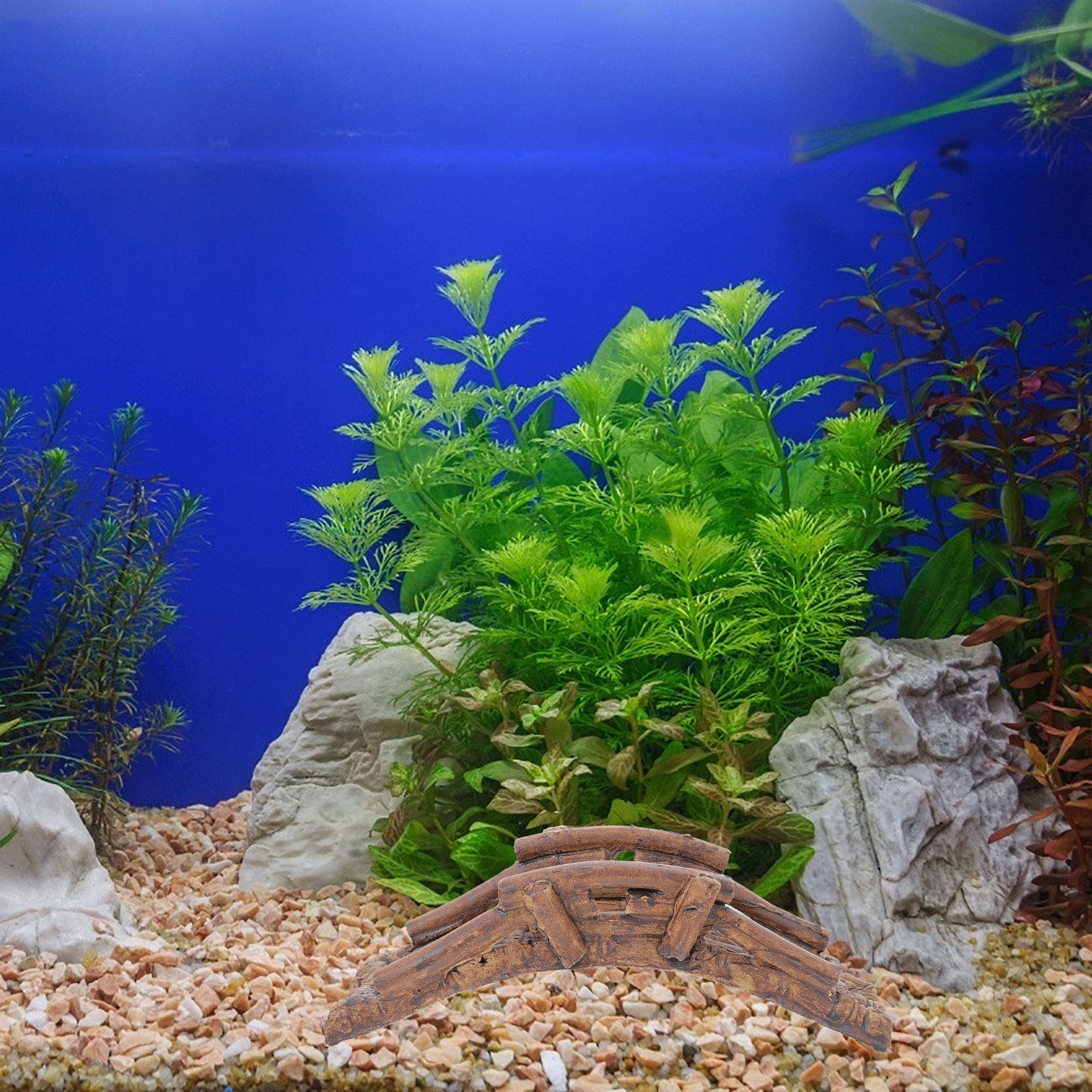 قطعتان من الجسر الزخرفي السيرا - مراجعة Aquarium Fish Bridge وسعره