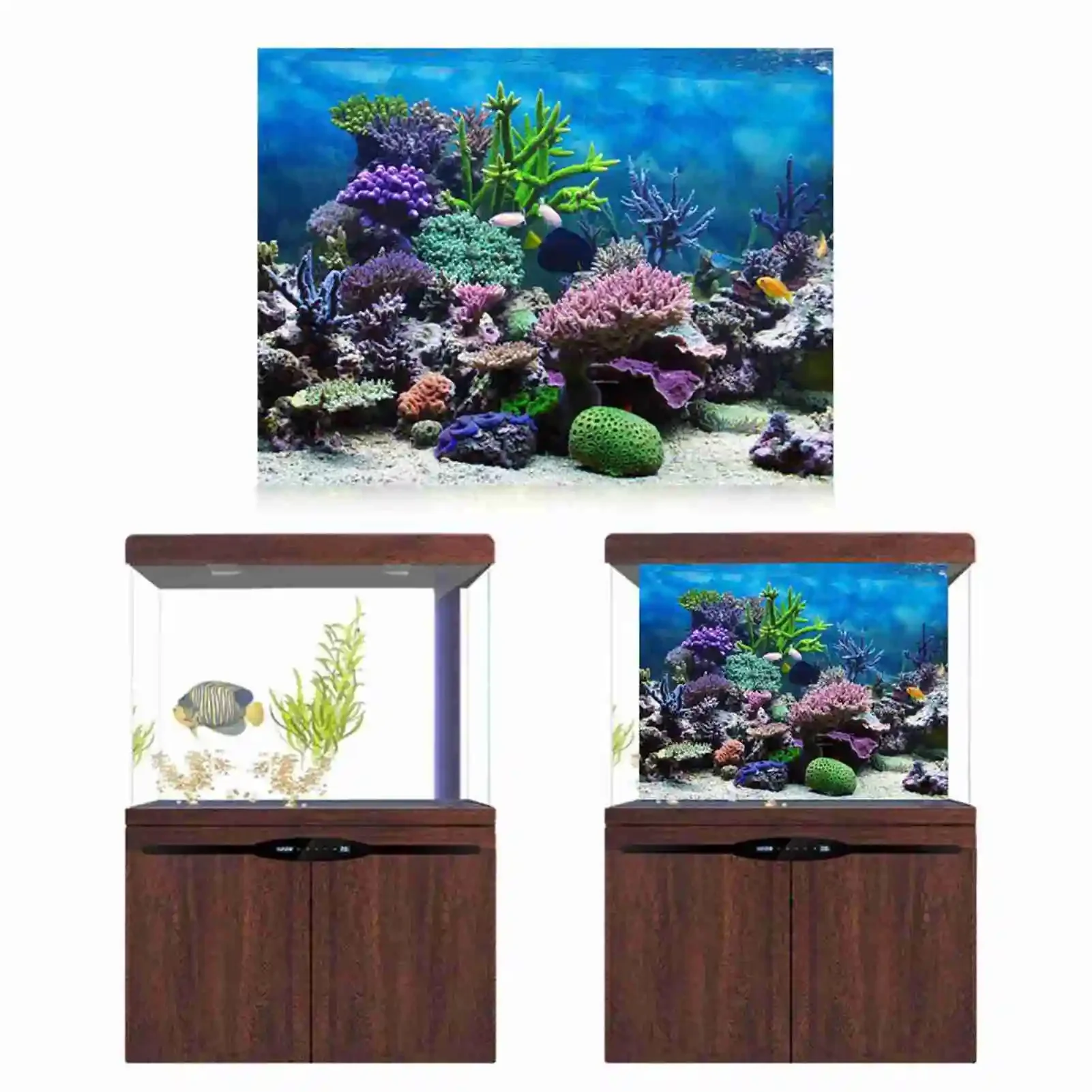ملصق ثلاثي الأبعاد لحوض السمك  - مراجعة Aquarium Fish Poster وسعره