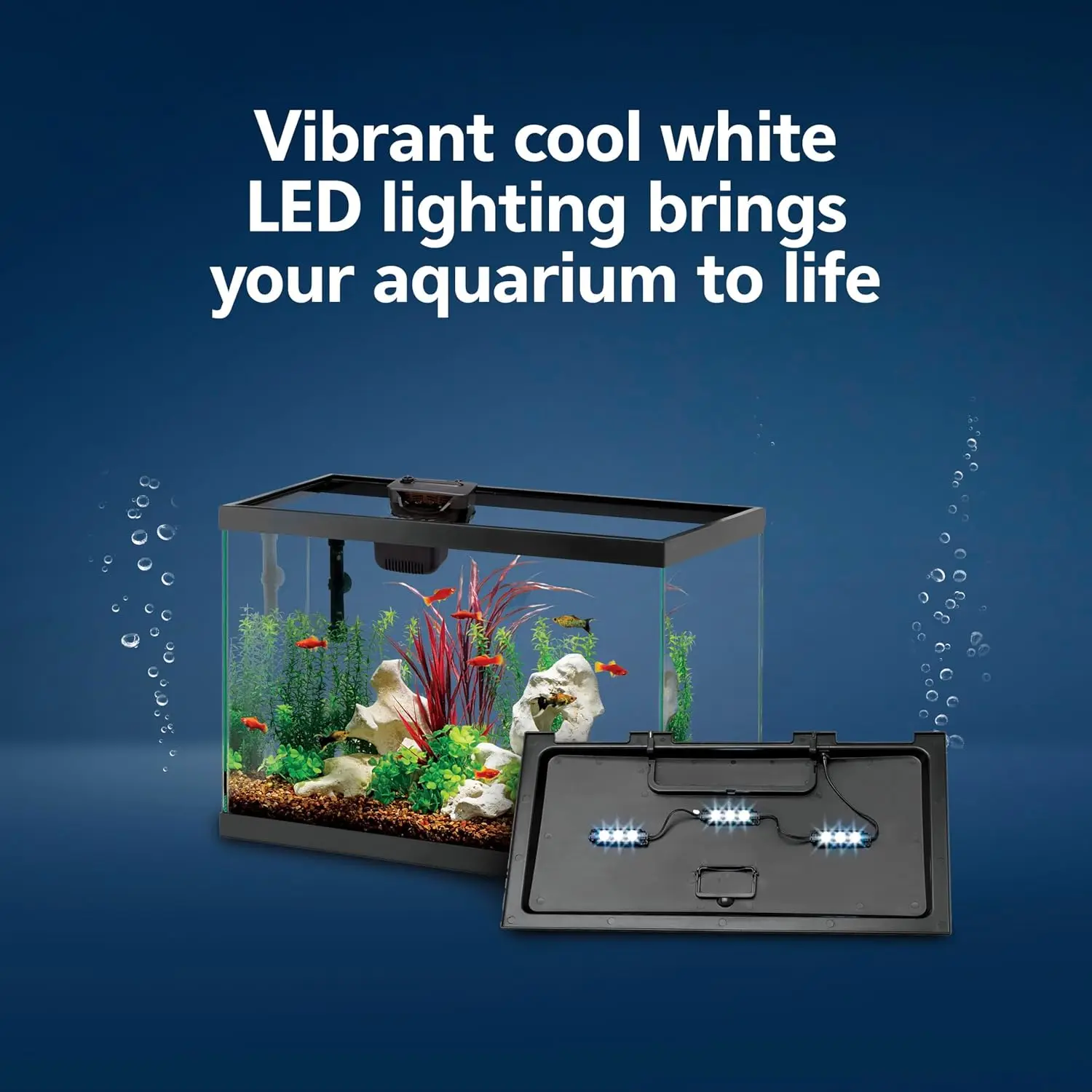 مجموعة أدوات تربية الأسماك مع  - مراجعة Tetra Fish In Aquarium وسعره
