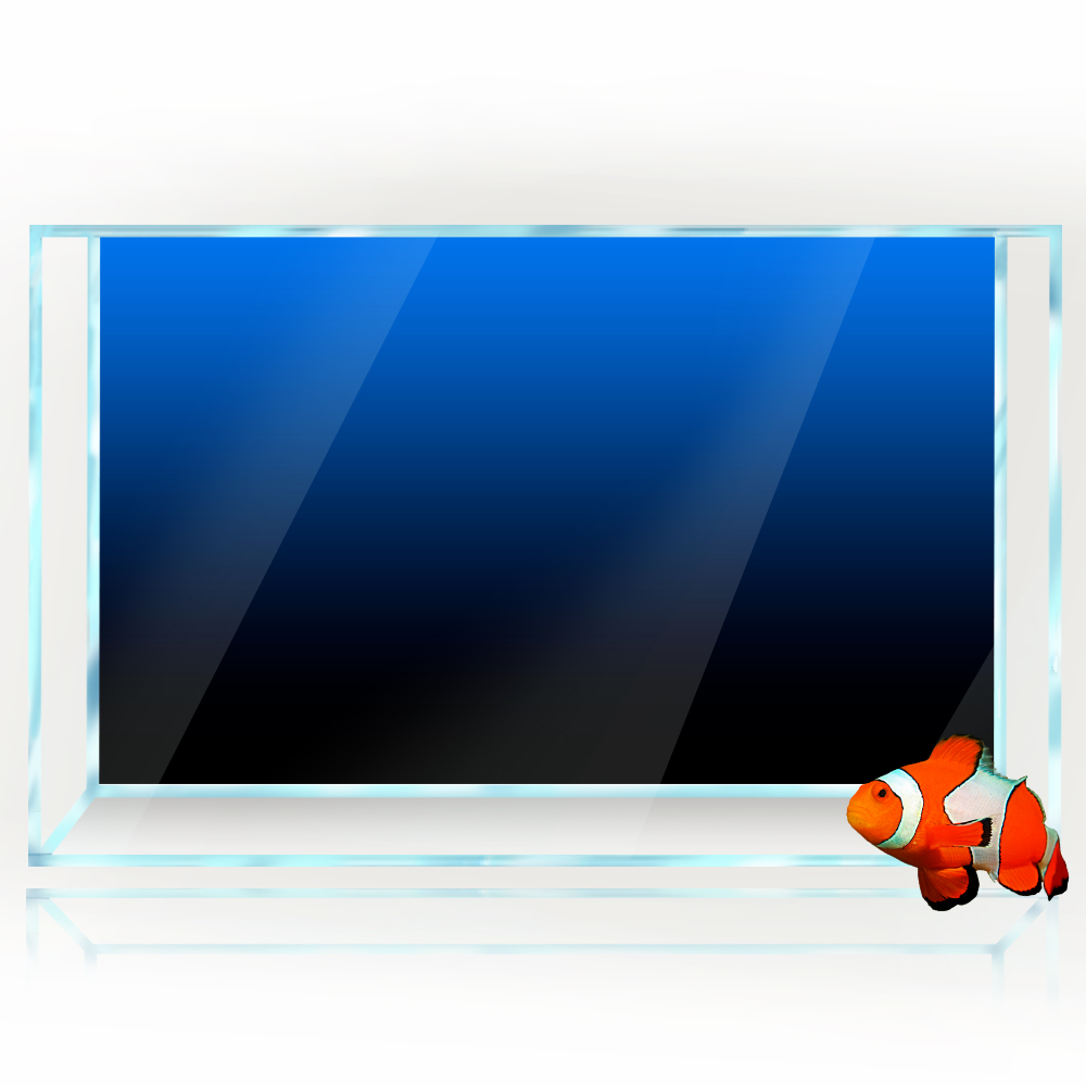 ملصق خلفية لخزان الأسماك أسود  - مراجعة Aquarium Fish Wallpaper وسعره