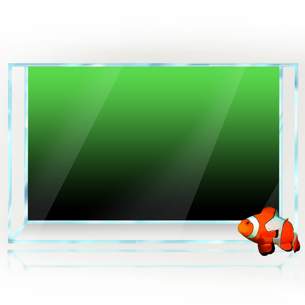 ملصق خلفية لخزان الأسماك أسود  - مراجعة Aquarium Fish Wallpaper وسعره
