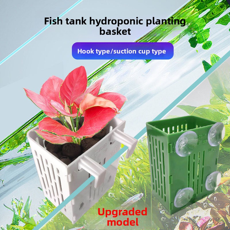 سلة زراعة معلقة على الحائط للز - مراجعة Aquarium Fish Only وسعره