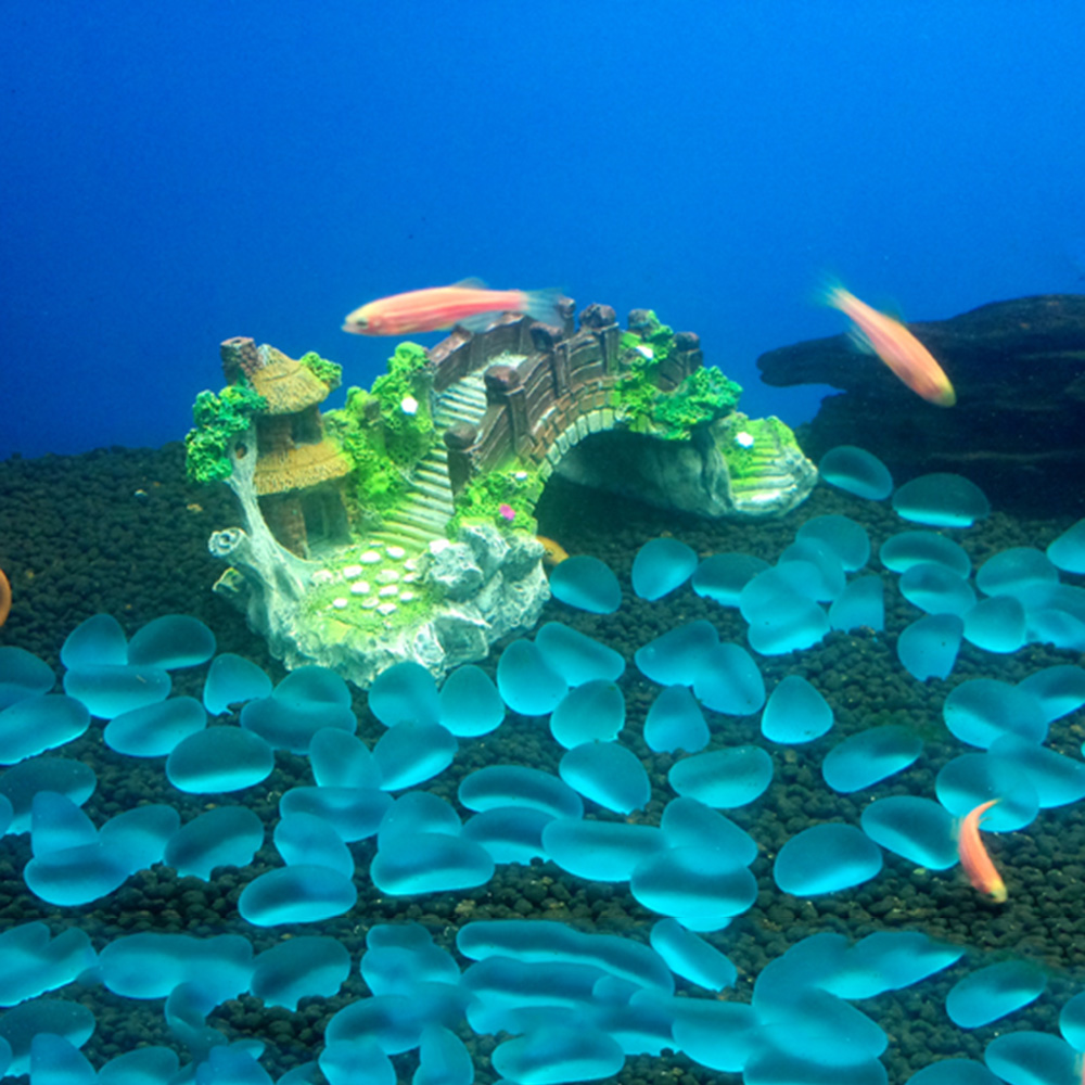 اكسسوارات حوض السمك نبات شجرة  - مراجعة Aquarium Fish Bridge وسعره