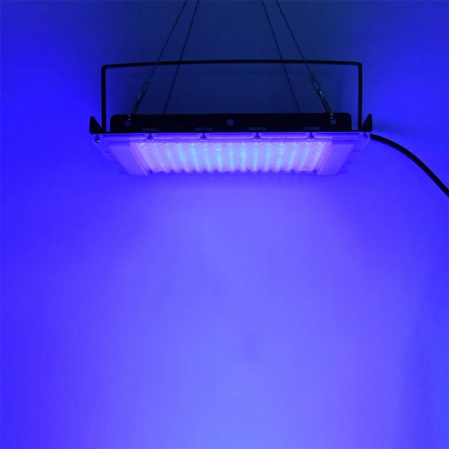 300 واط UV 39nm الضوء الأسود U - مراجعة Aquarium Fish Poster وسعره