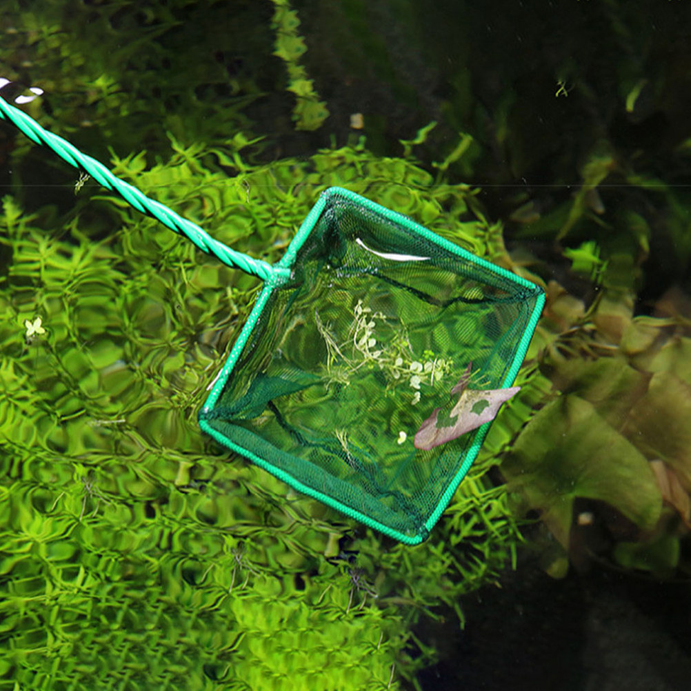 قطعتان من شبكة صيد الأسماك الم - مراجعة Aquarium Fishland وسعره