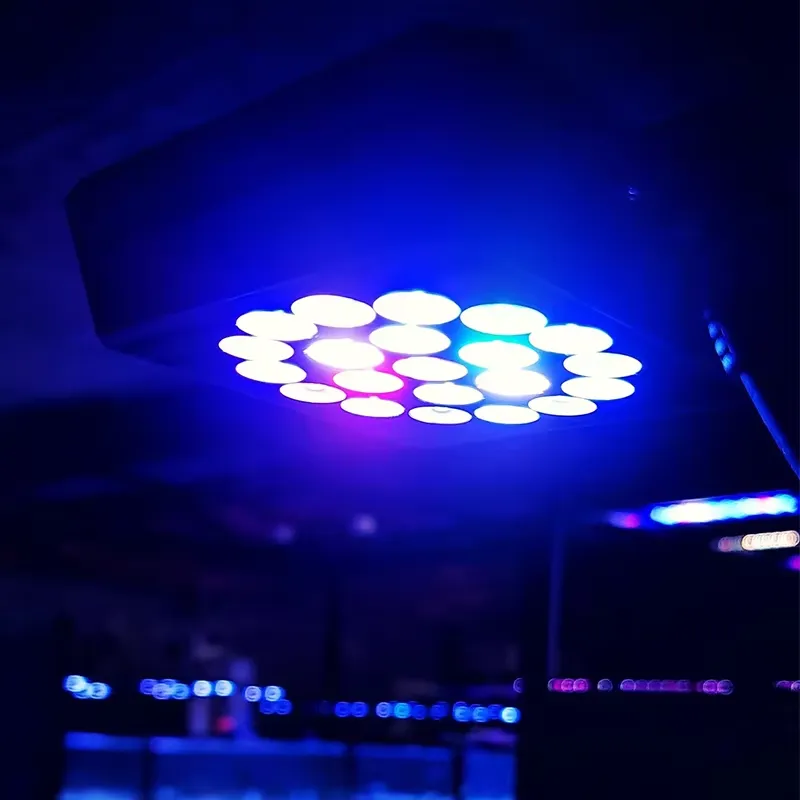 نوفاتيك جلوبال THOR 60W وحدة ت - مراجعة Aquarium Led Light وسعره