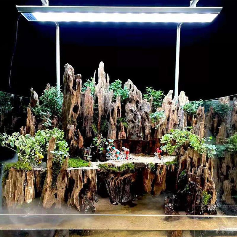 △   ديكور خشبي على شكل جمبري ل - مراجعة Aquarium Fish Only وسعره