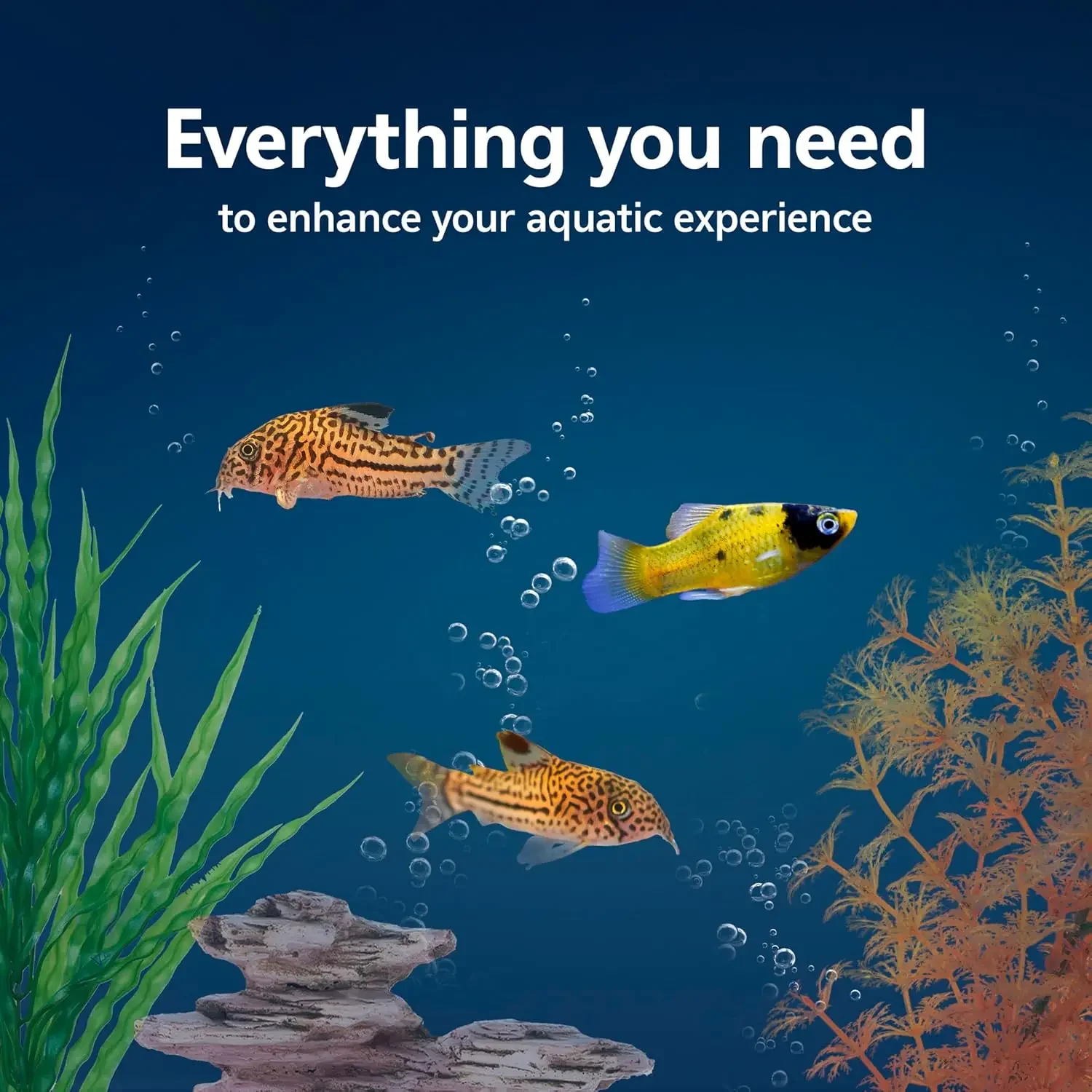 طقم حوض أسماك للمبتدئين مع نظا - مراجعة Tetra Fish In Aquarium وسعره