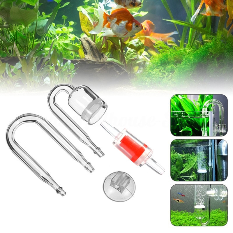 ناشر CO2 لحوض السمك ، خزان زجا - مراجعة Aquarium Fish Live وسعره