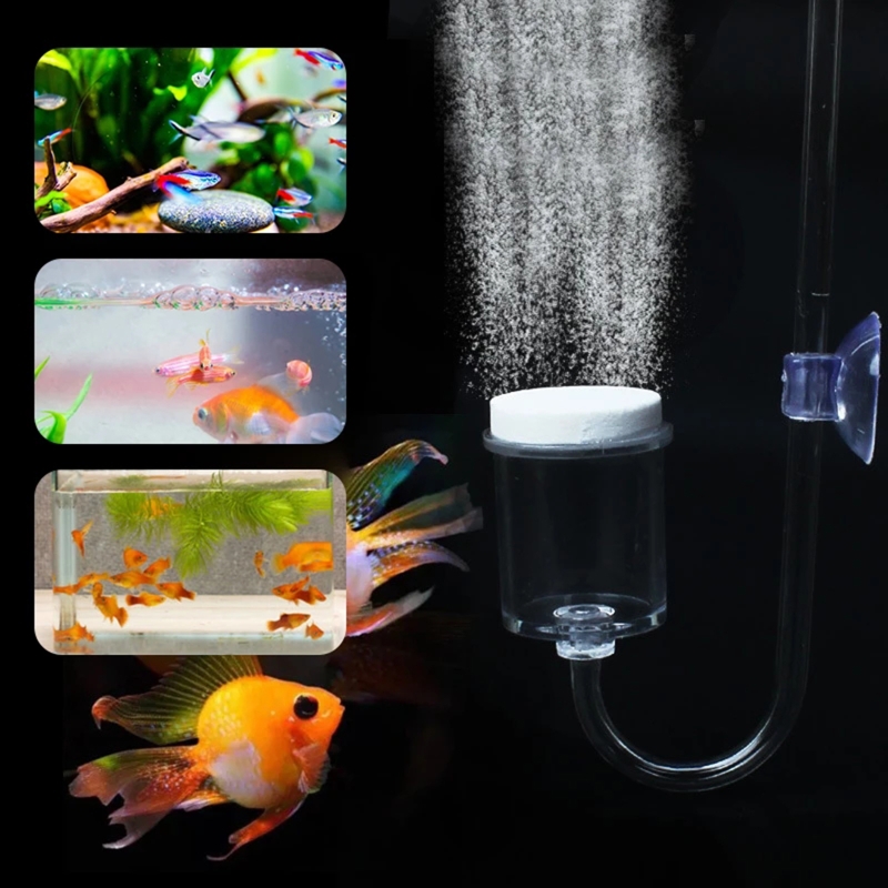 ناشر CO2 لحوض السمك ، خزان زجا - مراجعة Aquarium Fish Live وسعره