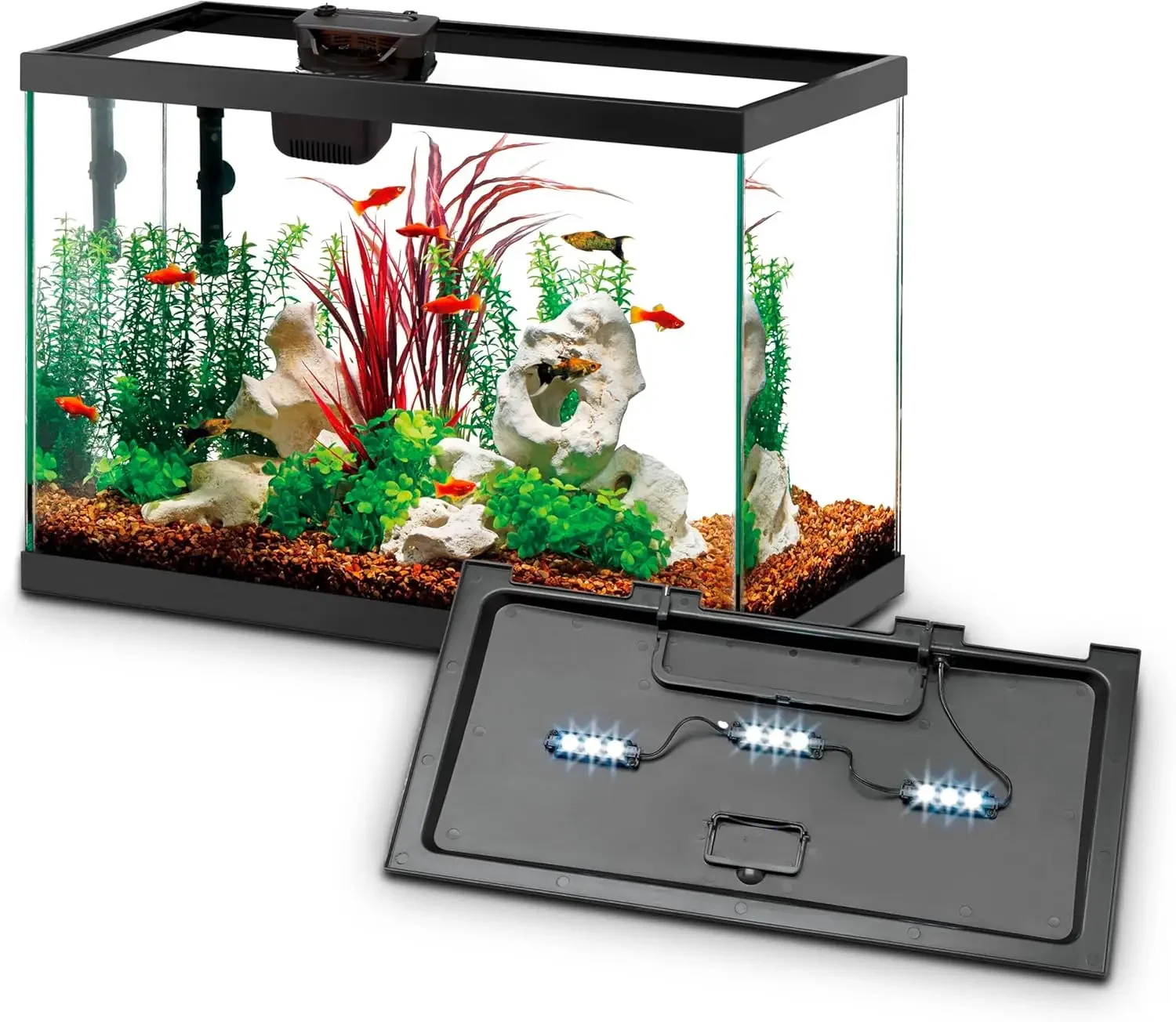 طقم حوض أسماك للمبتدئين مع نظا - مراجعة Tetra Fish In Aquarium وسعره