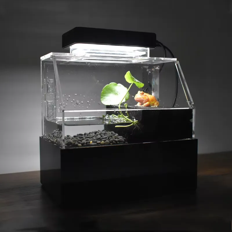 حوض أسماك مكتبي مخصص من ريلاكس - مراجعة Aquarium Fish For Sale وسعره
