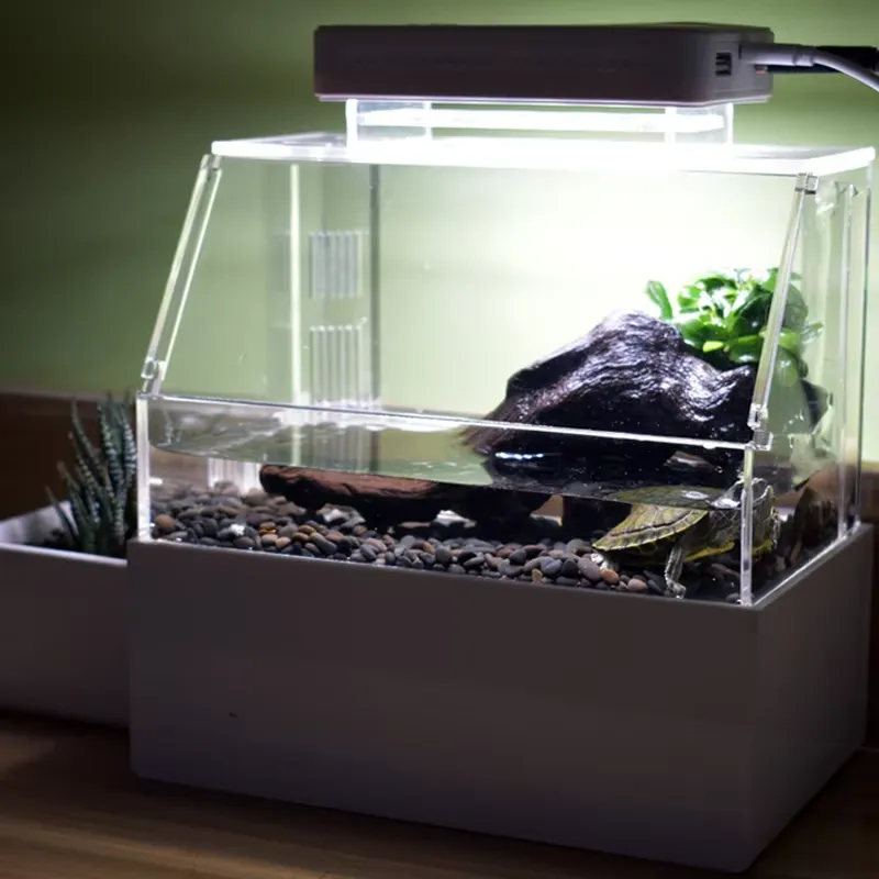 حوض أسماك مكتبي مخصص من ريلاكس - مراجعة Aquarium Fish For Sale وسعره