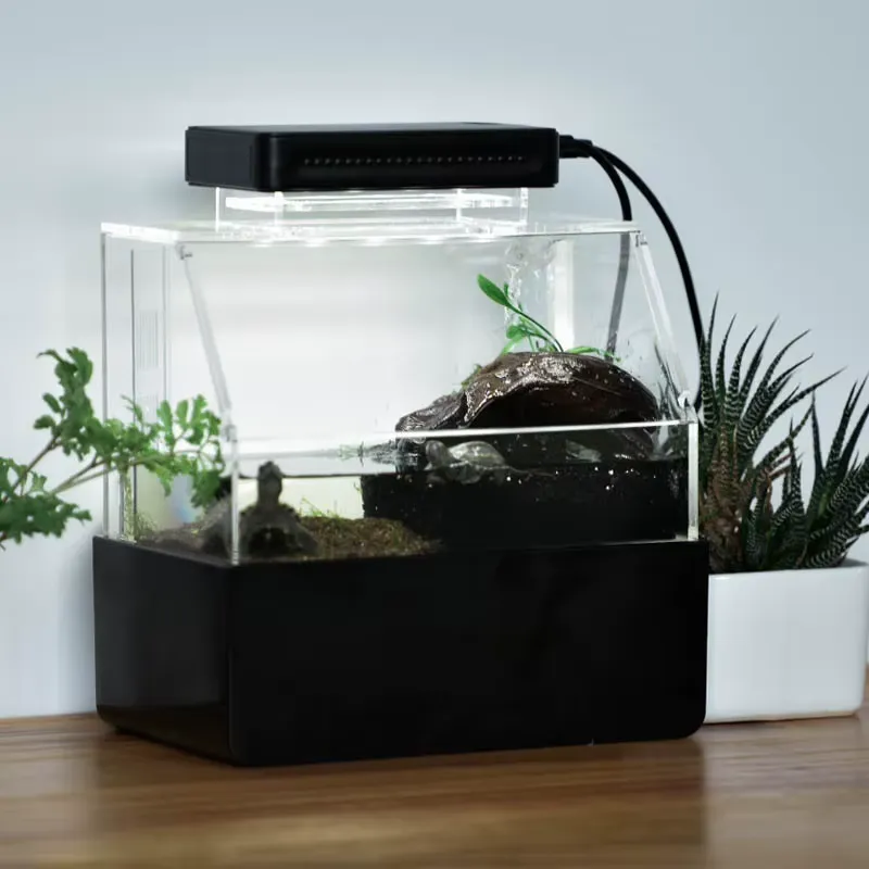حوض أسماك مكتبي مخصص من ريلاكس - مراجعة Aquarium Fish For Sale وسعره