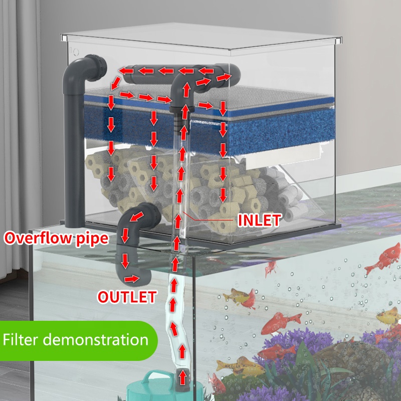 مبيعات المصنع مباشرة مرشح حوض  - مراجعة Aquarium Fish For Sale وسعره