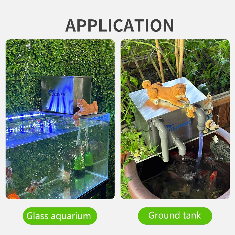 مبيعات المصنع مباشرة مرشح حوض  - مراجعة Aquarium Fish For Sale وسعره