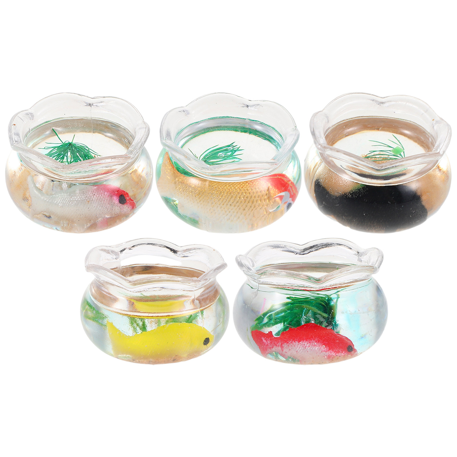 5 قطع من أحواض السمك المصغرة،  - مراجعة Aquarium Fish Bowl وسعره