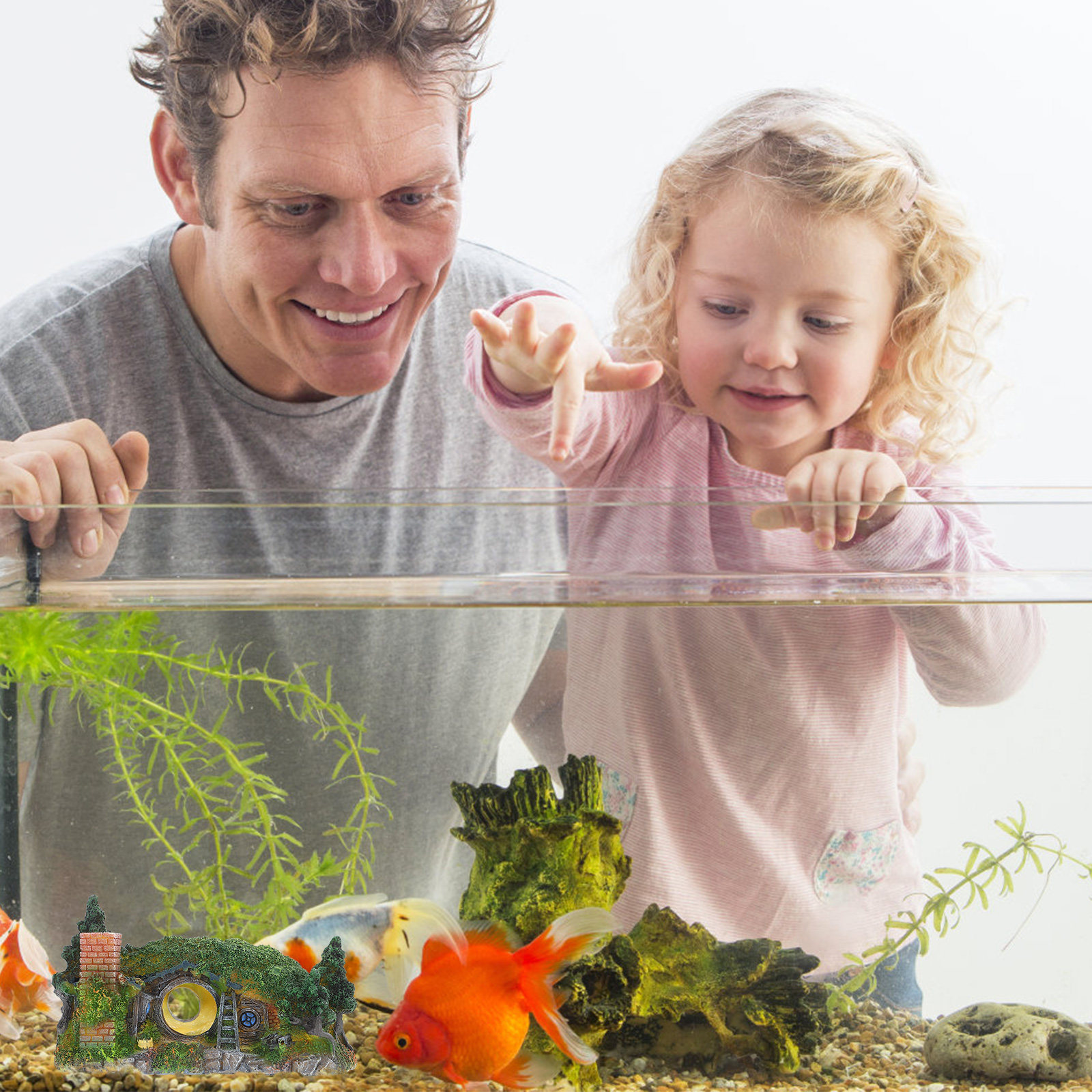 قطعة واحدة من زينة حوض السمك م - مراجعة Aquarium Fish Low Maintenance وسعره